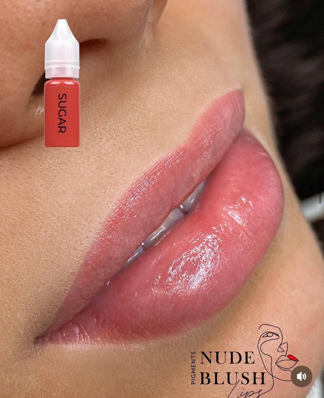 Pigment NUDE BLUSH Buze Sugar